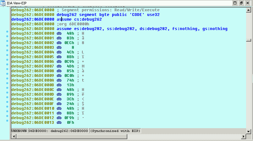 IDA Pro Memory Garbage Data