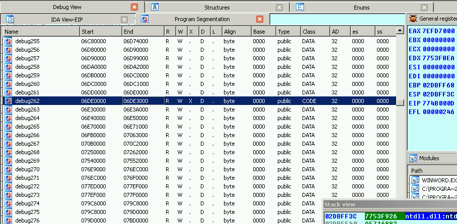 IDA Pro Memory Map - RWX Segment